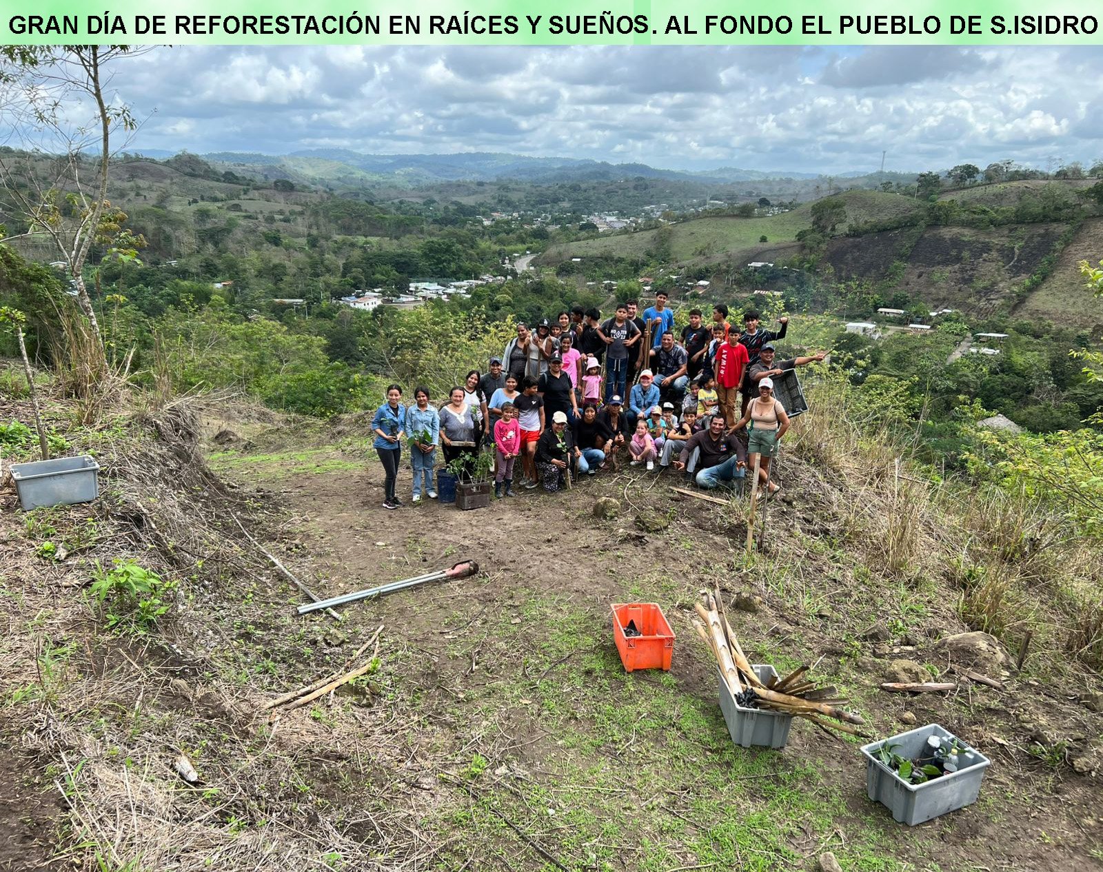 Voluntarios sembrando árboles