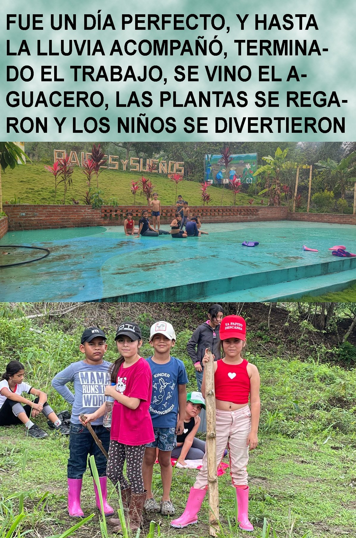 Niños y jóvenes en la reforestación