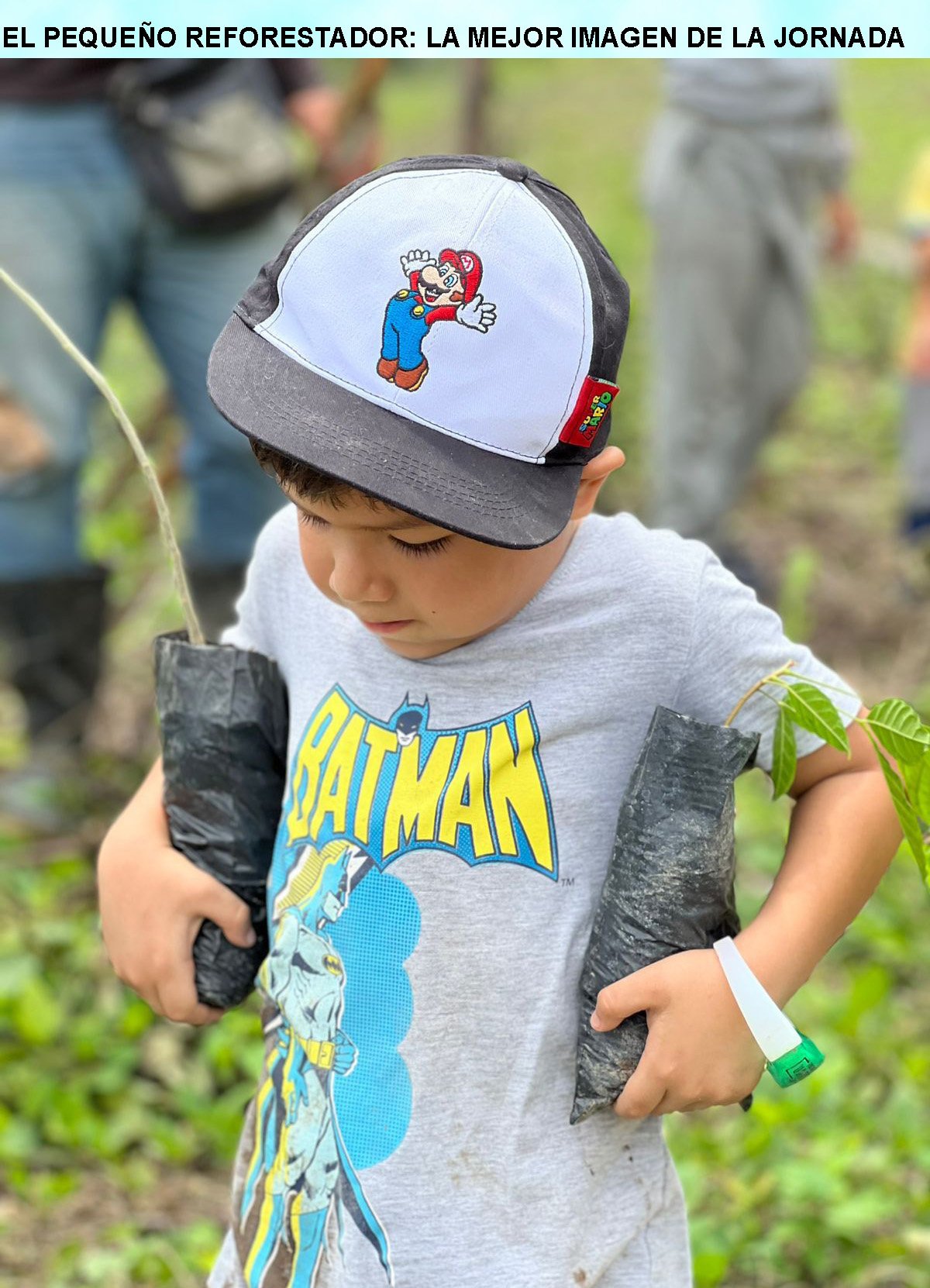 Jóvenes plantando árboles