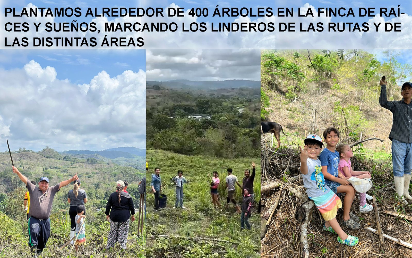 Participantes asegurando las plantas