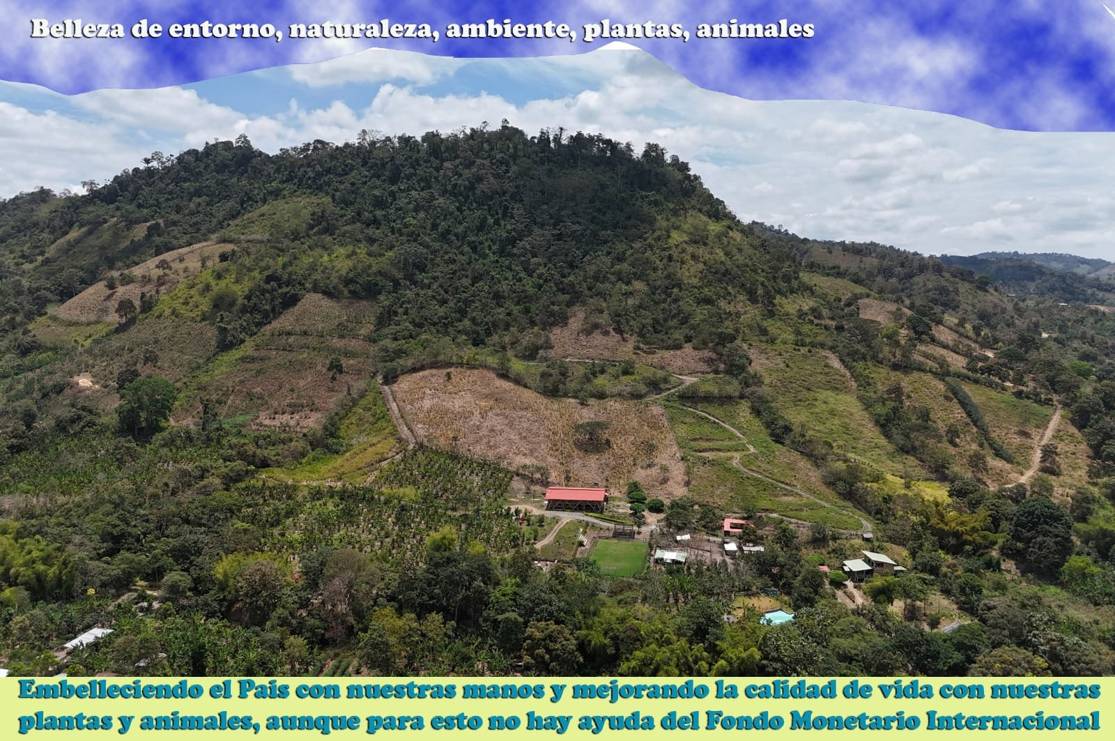 Vista aérea del entorno natural de la Fundación