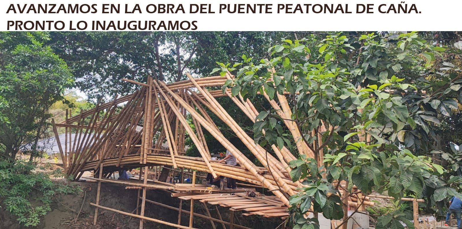 Construcción del puente peatonal de caña en Raíces y Sueños